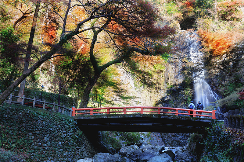 Autumn leaves, Minoh waterfall, Osaka, Japan
