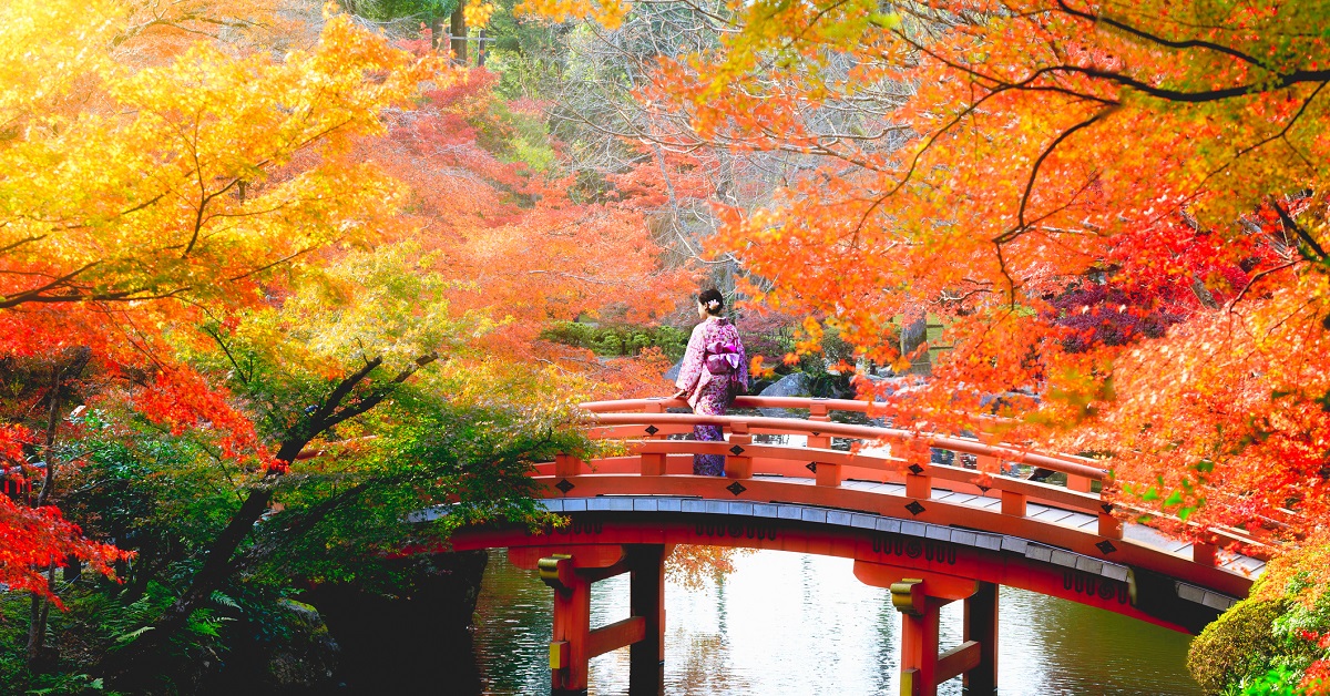 Autumn leaves, Japan