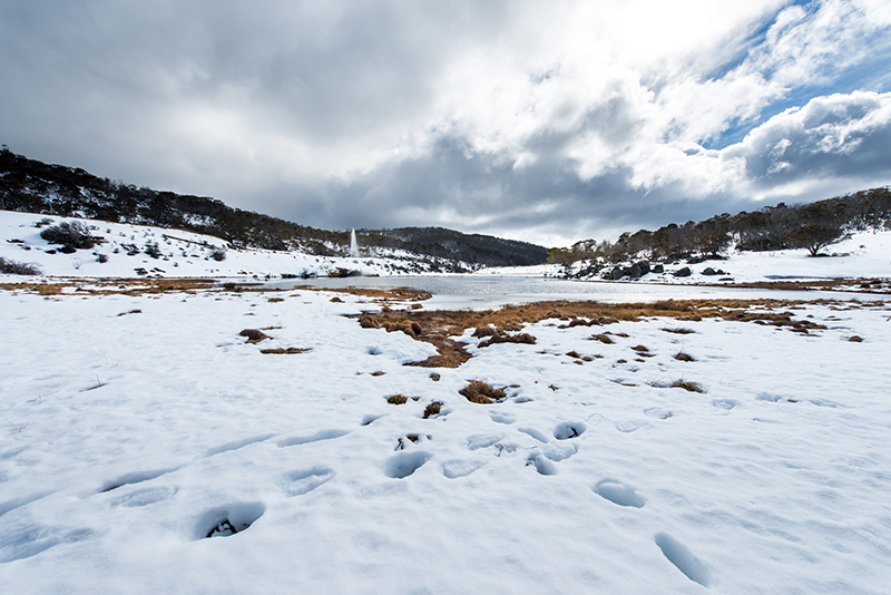 Kosciuszko National Park, Australia