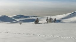 Hotels near Yellowstone airport