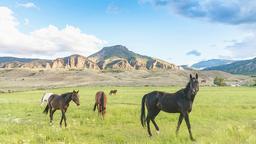 Hotels near E.E. Faust airport