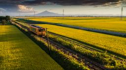 Misawa car rentals