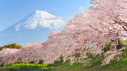 Japan hotels