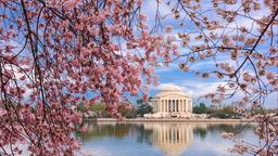 Washington car rentals