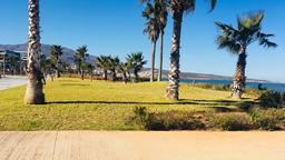 Nador car rentals