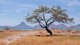 Sonora hotels