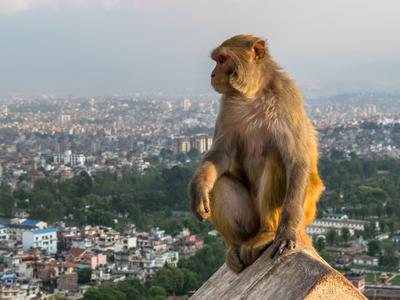 Kathmandu