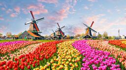 Hilversum car rentals
