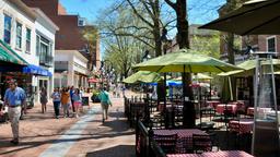 Hotels near Albemarle airport