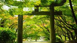 Fukuoka Prefecture hotels