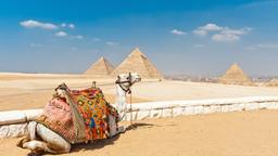 Find cheap flights to Africa