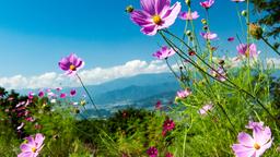 Nagano Prefecture hotels