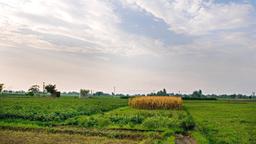 Hotels near Ludhiana airport