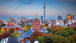 Find cheap flights to Tokyo