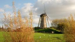 Hoofddorp car rentals