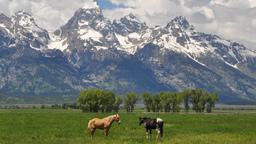 Hotels near Jackson Hole Airport