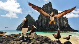 Hotels near Fernando De Noronha airport