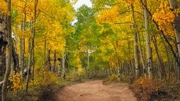 Aspen car rentals