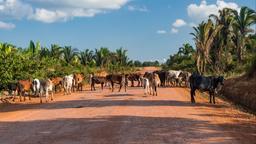 Rondônia hotels
