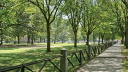 New Haven car rentals