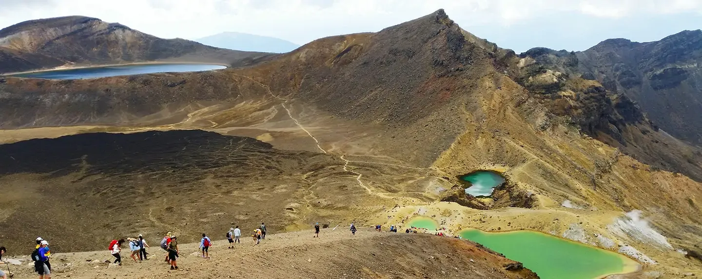 Find cheap flights to these geeky travel destinations