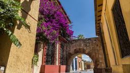 Oaxaca Hotels