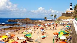Salvador car rentals