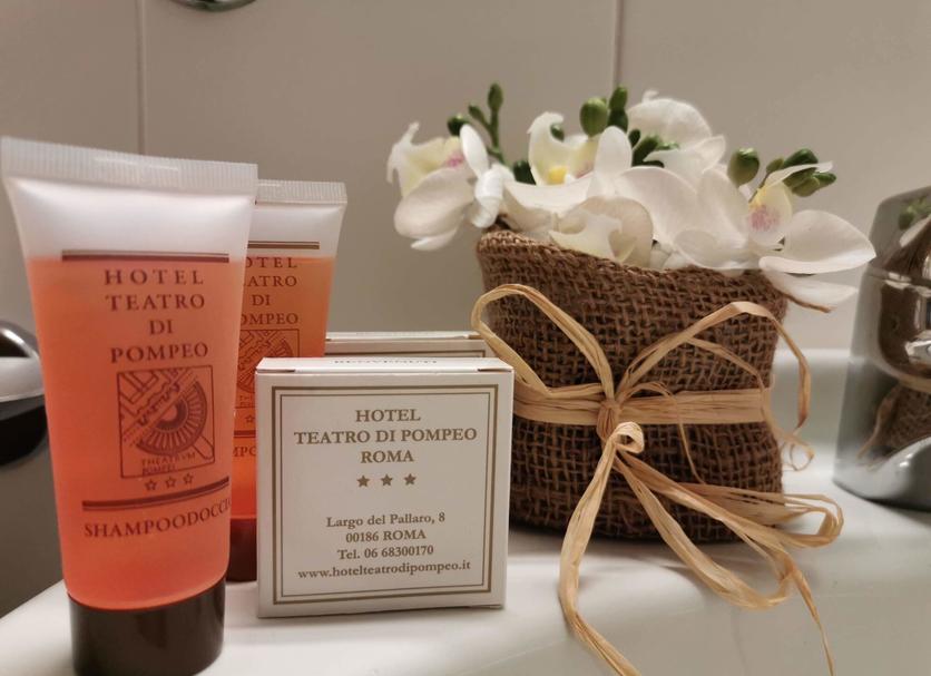 Room amenity Photo