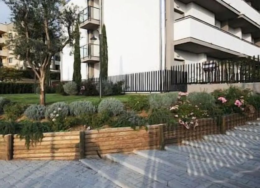 Other Photo