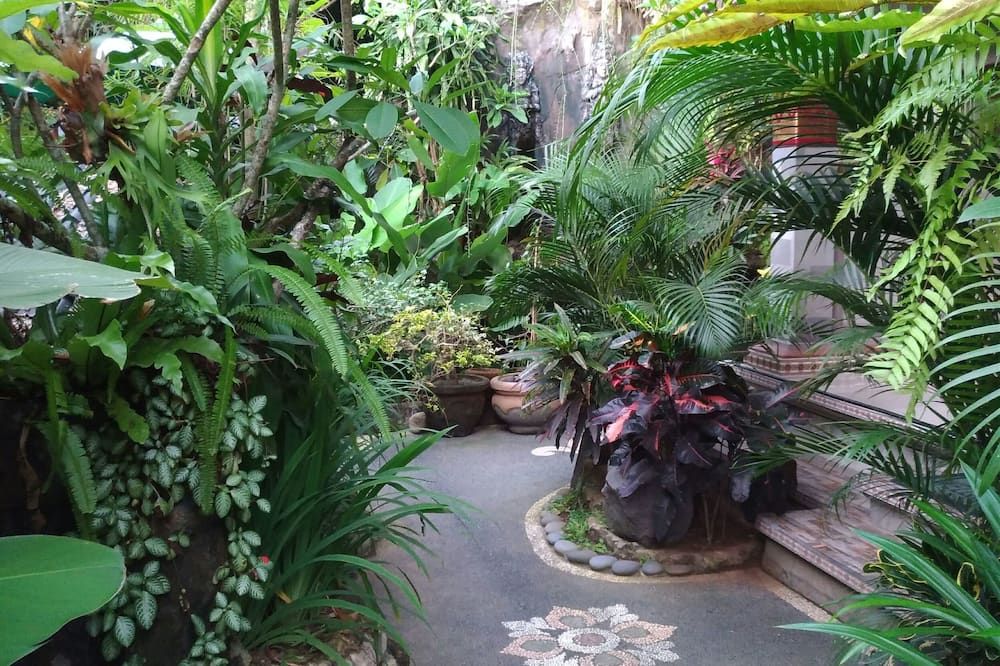 Outdoor view