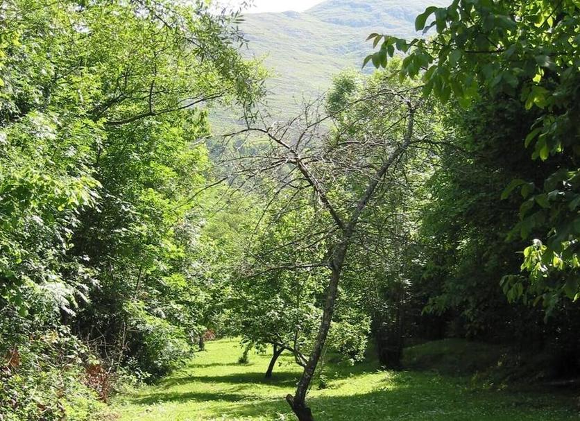 Outdoor view Photo