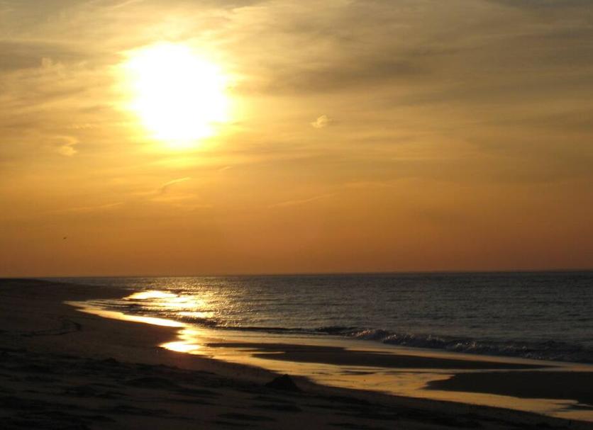 Beach Photo