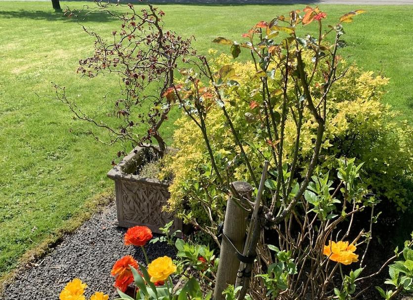 Outdoor view Photo