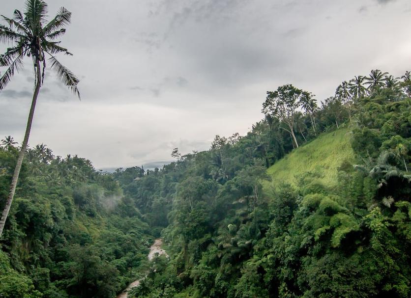 Outdoor view Photo