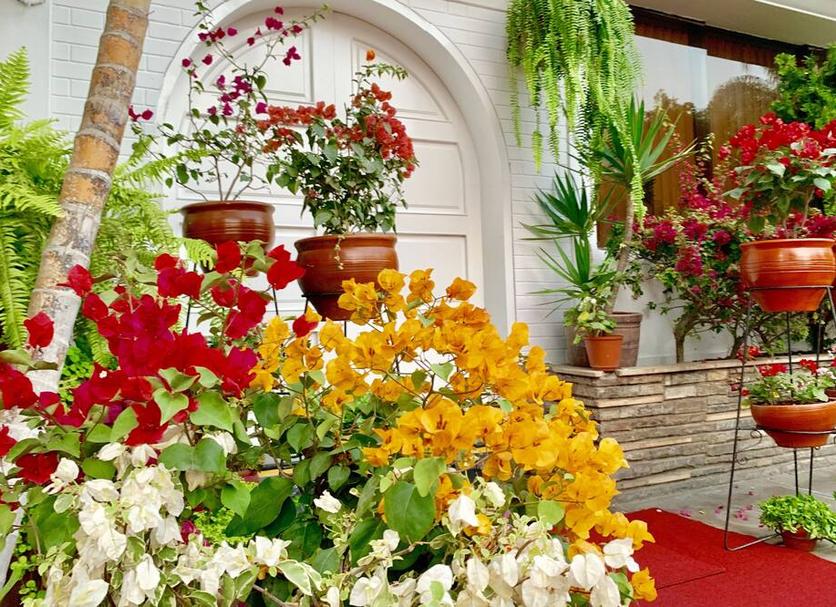 Outdoor view Photo