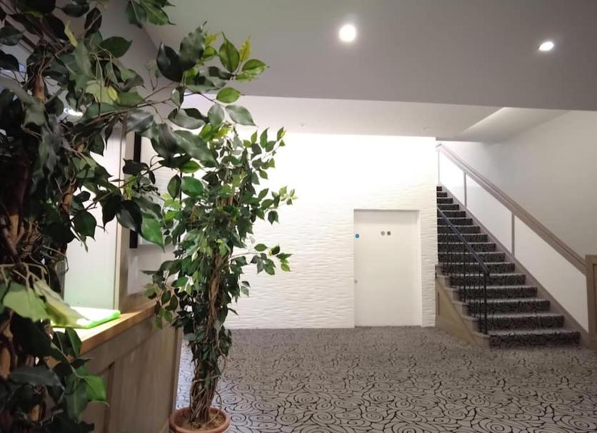 Stairs Photo