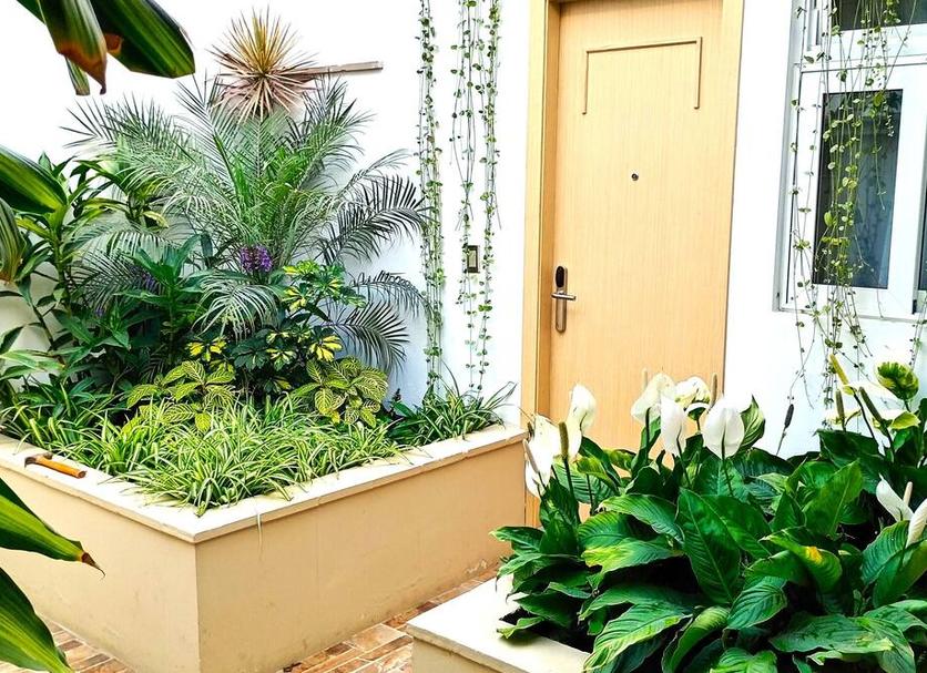 Outdoor view Photo