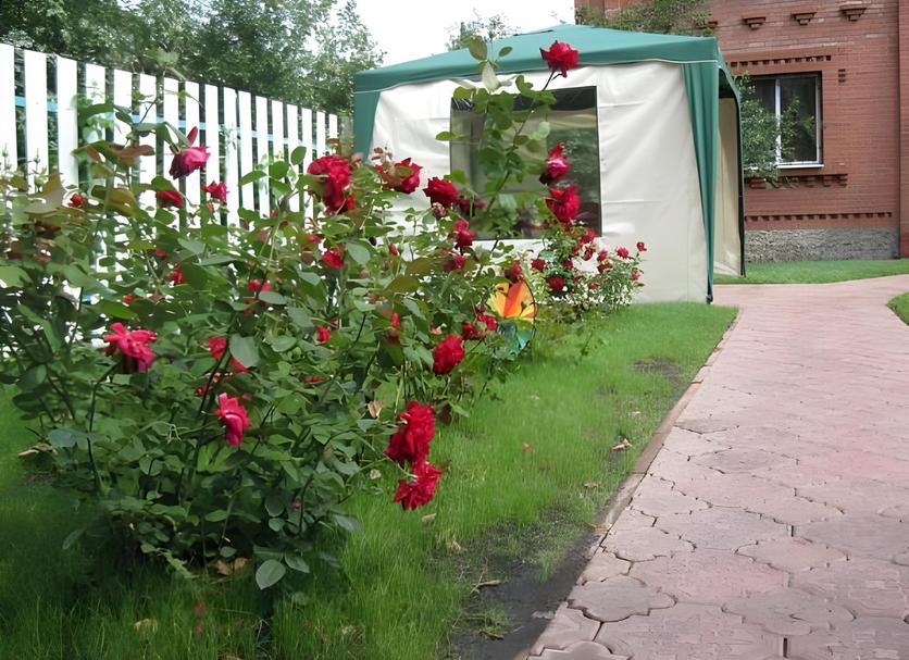 Outdoor view Photo