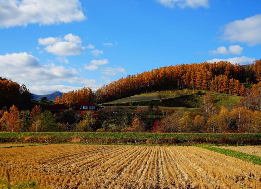 Outdoor view Photo