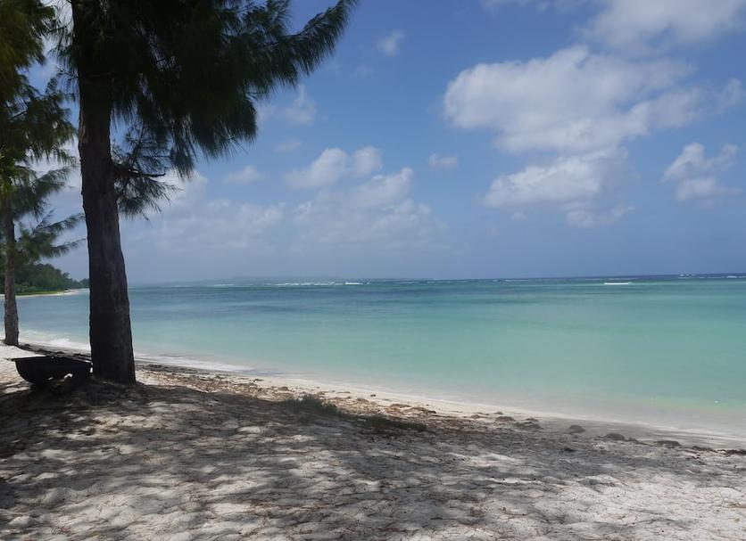 Beach Photo