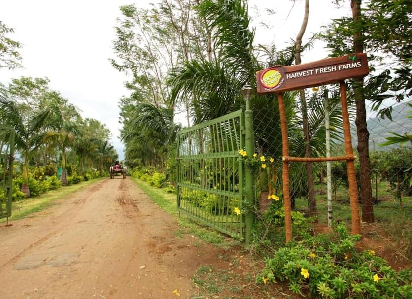 Outdoor view Photo