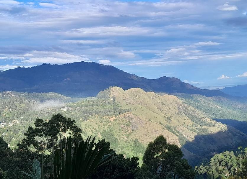Outdoor view Photo