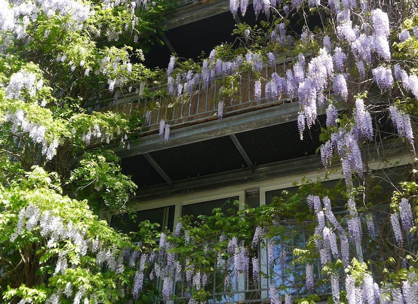 Outdoor view Photo