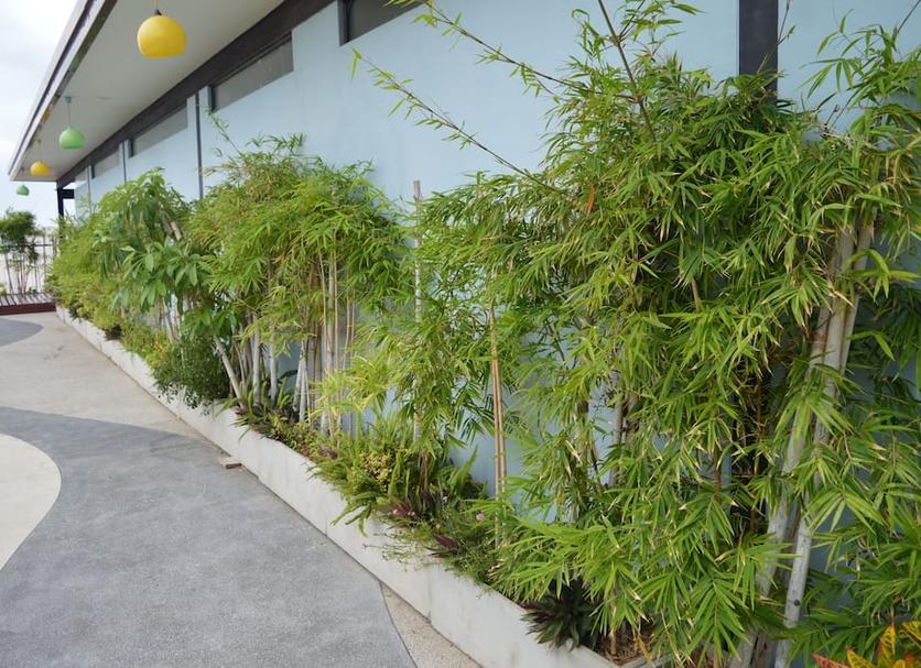 Outdoor view Photo