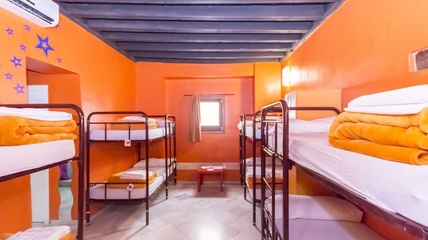 White Nest Hostel
