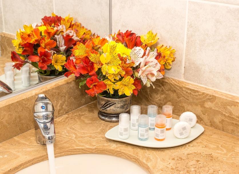 Room amenity Photo