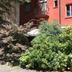 Outdoor view