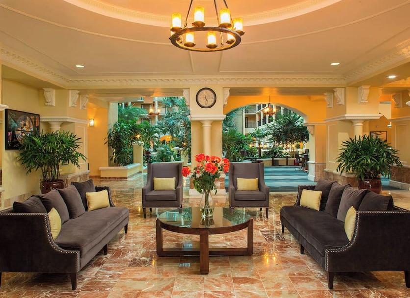 Lounge Photo