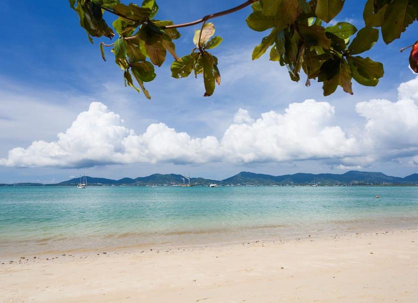 Beach Photo