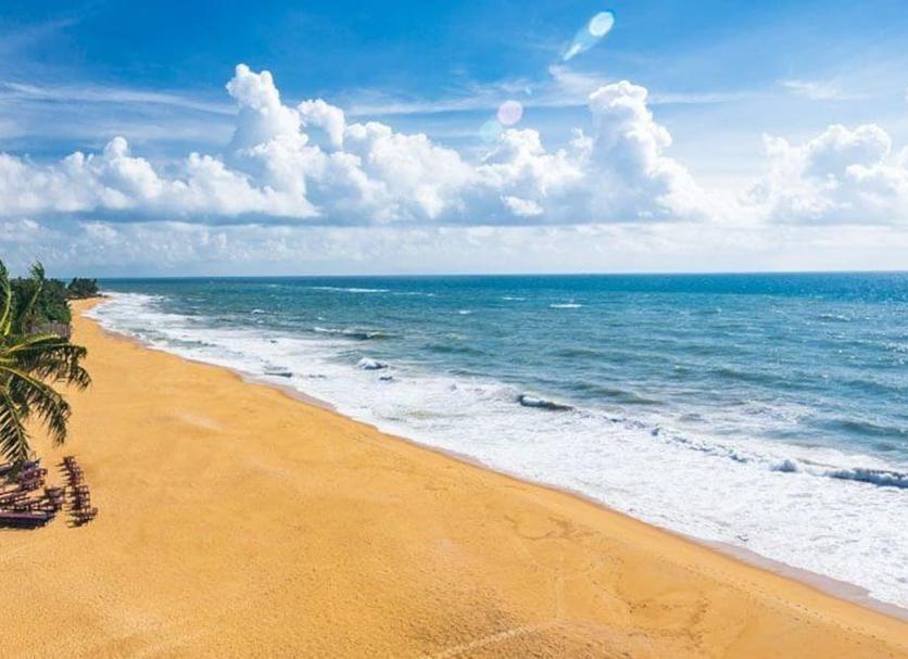 Beach Photo
